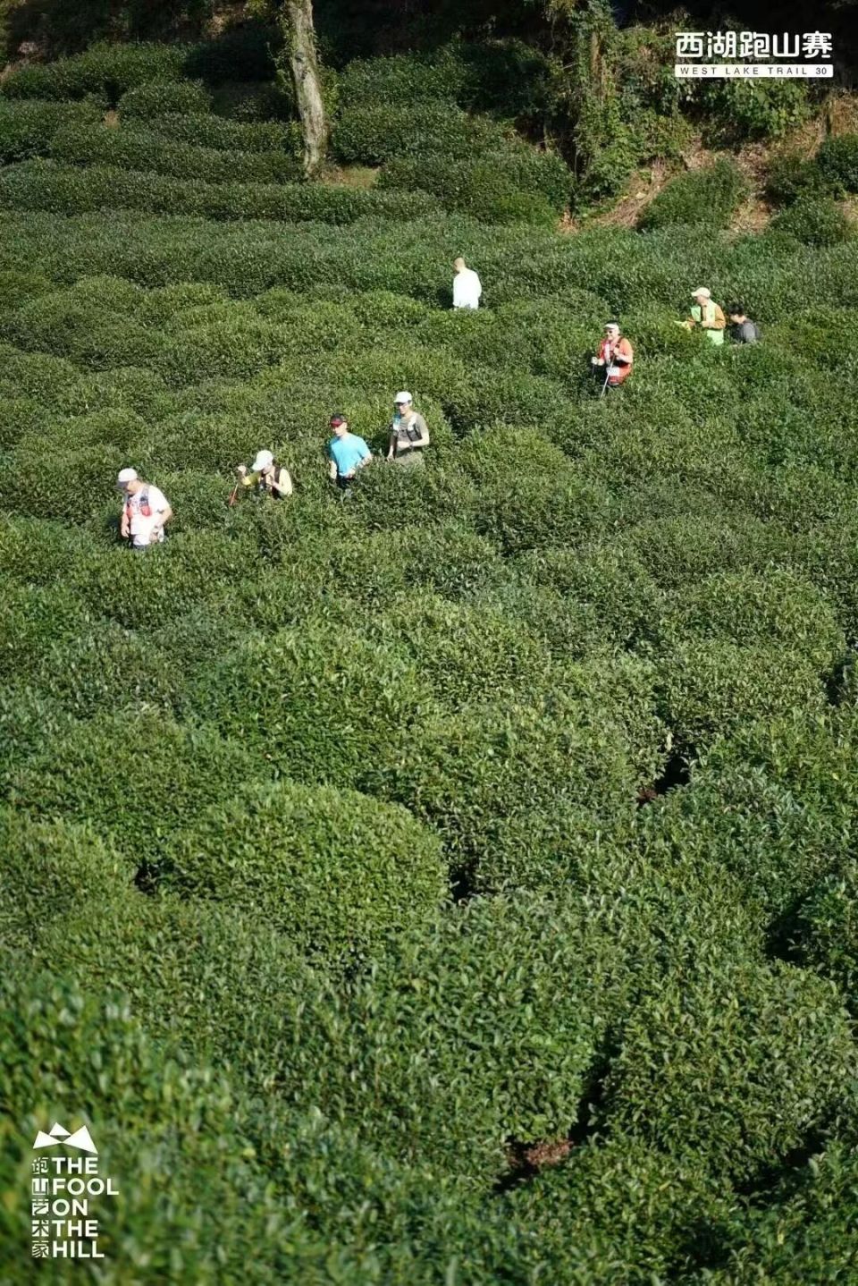 毅行, 特的自然风, 杭州市体育