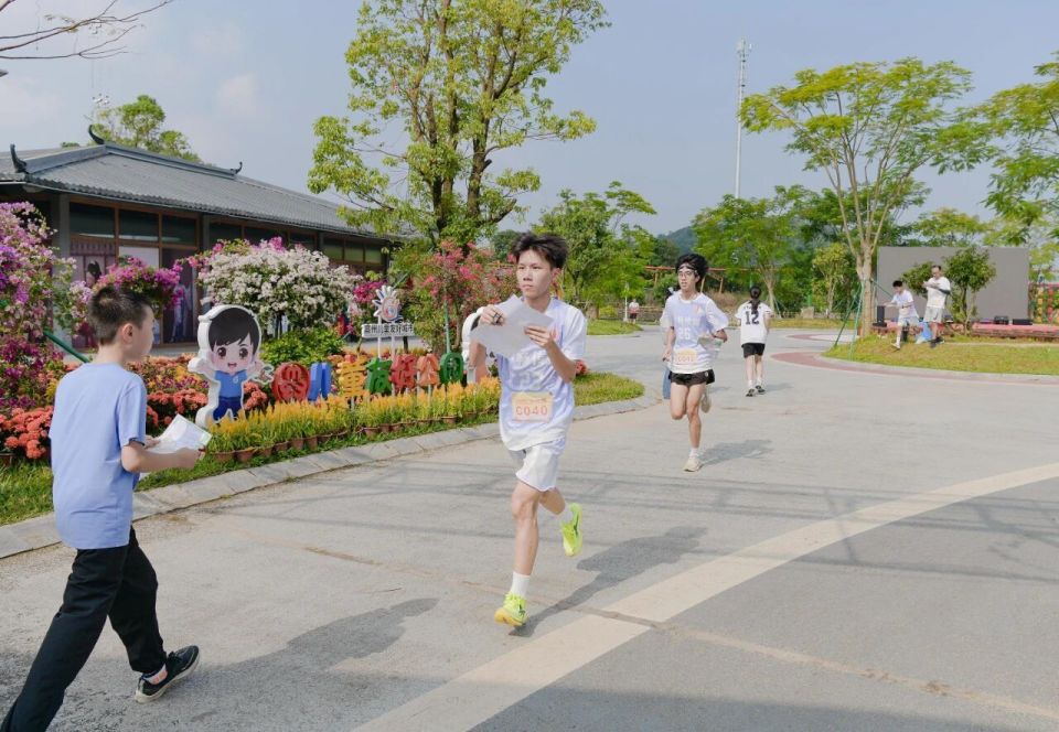 茂名市全民, 定向日, LPsg